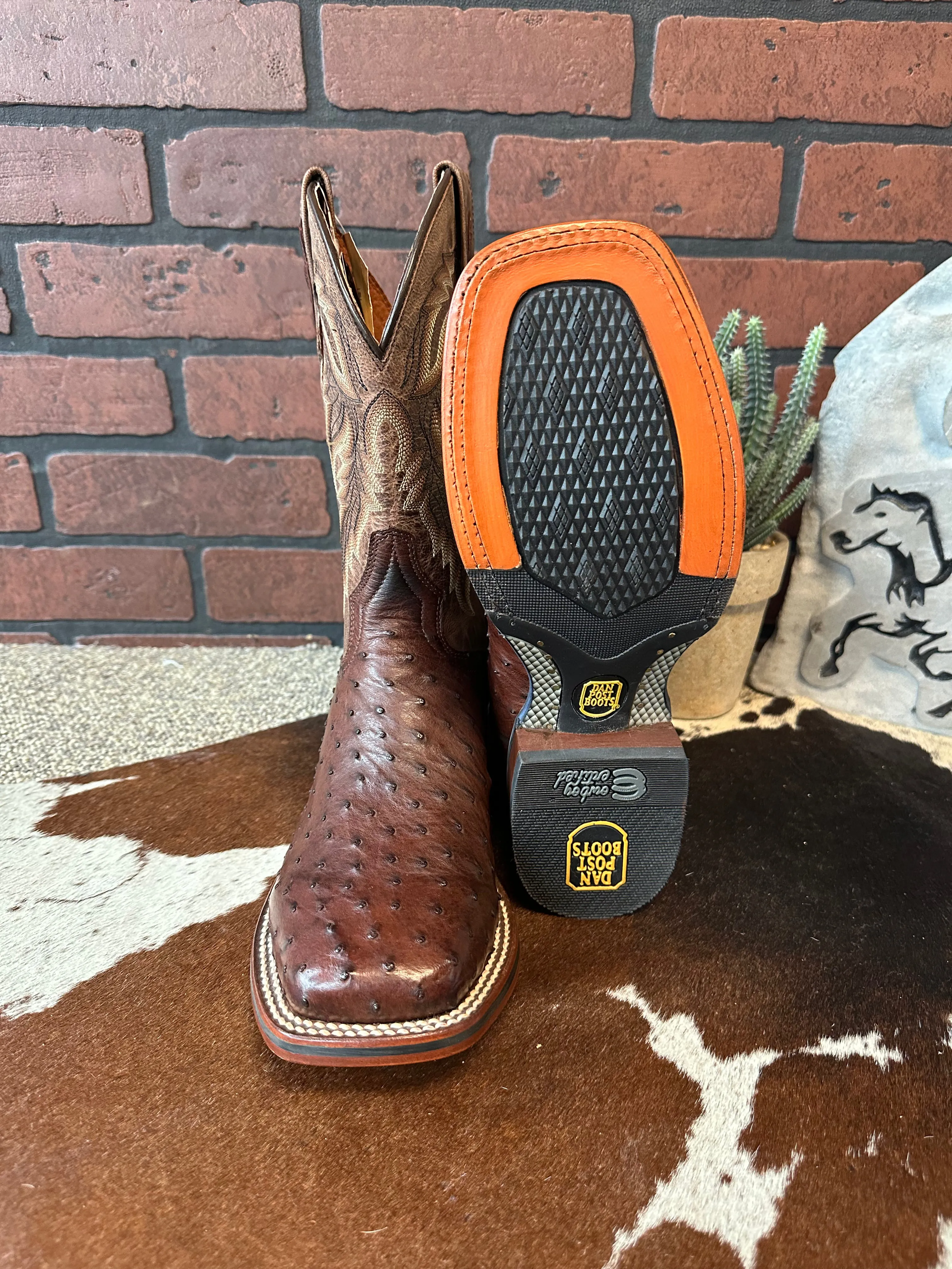 Dan Post Men's Alamosa Full Quill Ostrich Square Toe Cowboy Boots DP3875