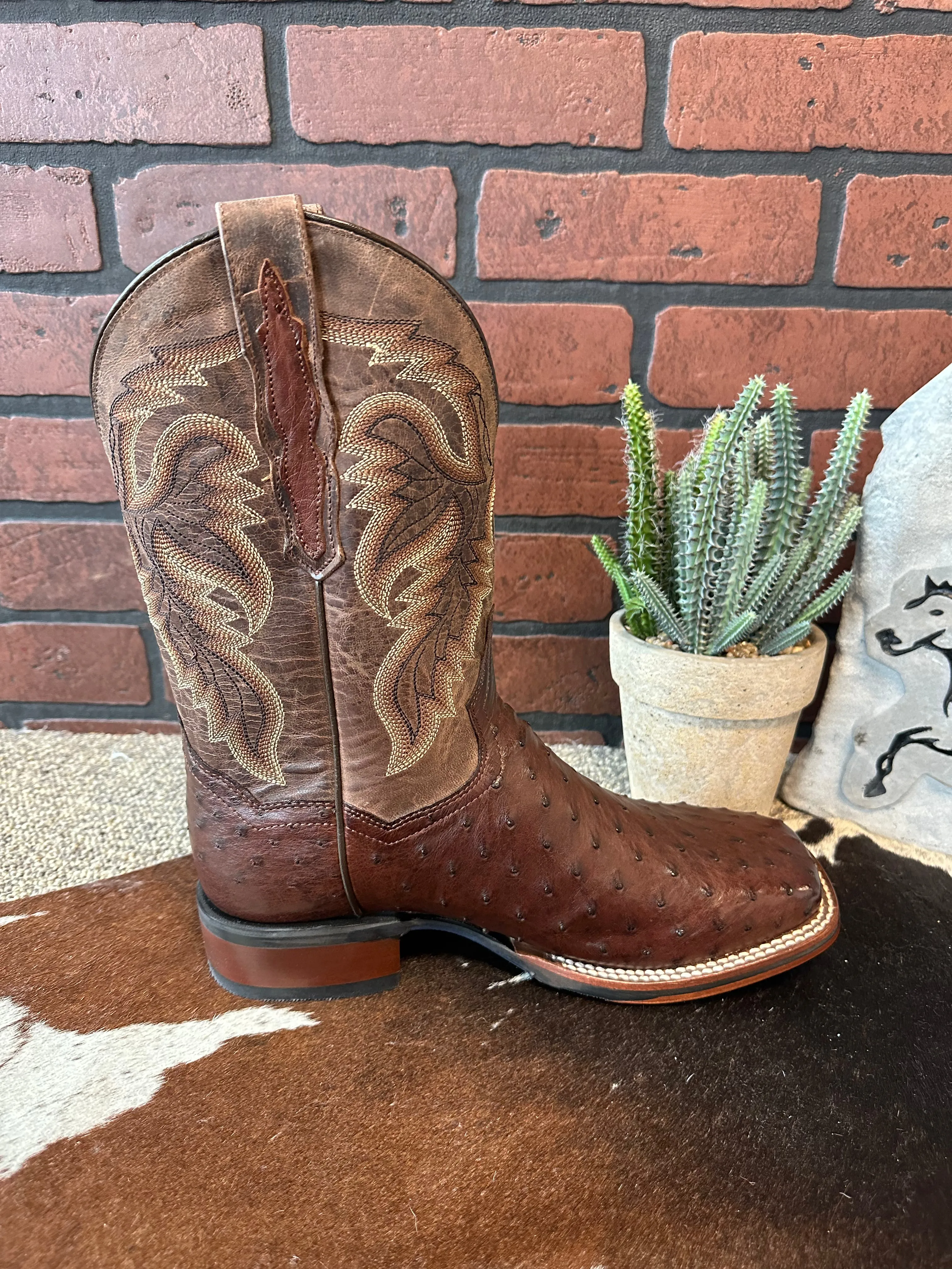 Dan Post Men's Alamosa Full Quill Ostrich Square Toe Cowboy Boots DP3875