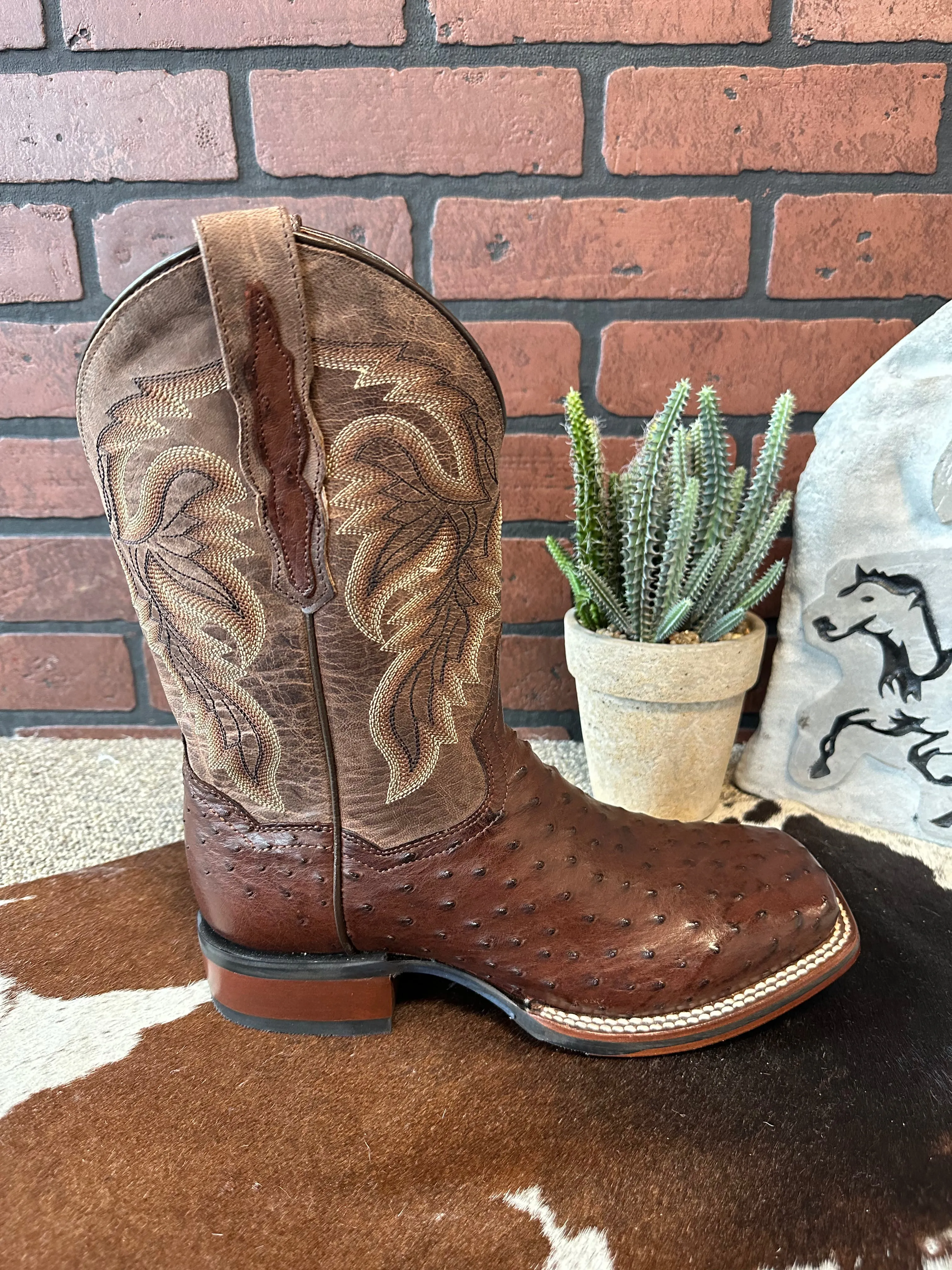 Dan Post Men's Alamosa Full Quill Ostrich Square Toe Cowboy Boots DP3875