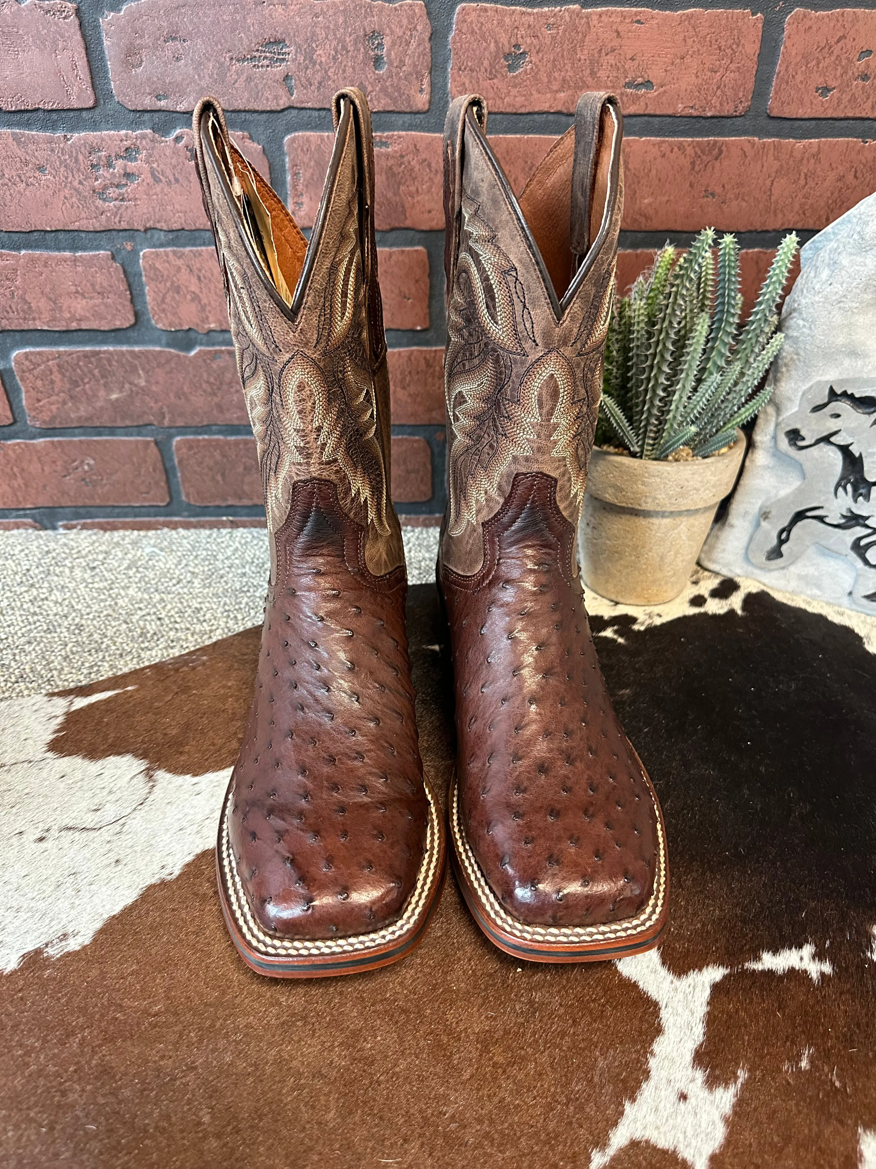 Dan Post Men's Alamosa Full Quill Ostrich Square Toe Cowboy Boots DP3875