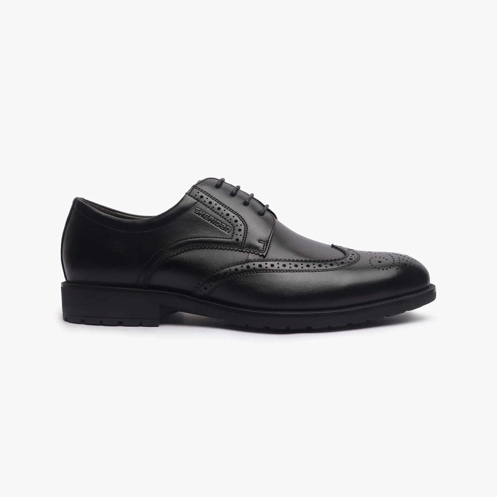 Sheridan Brogues