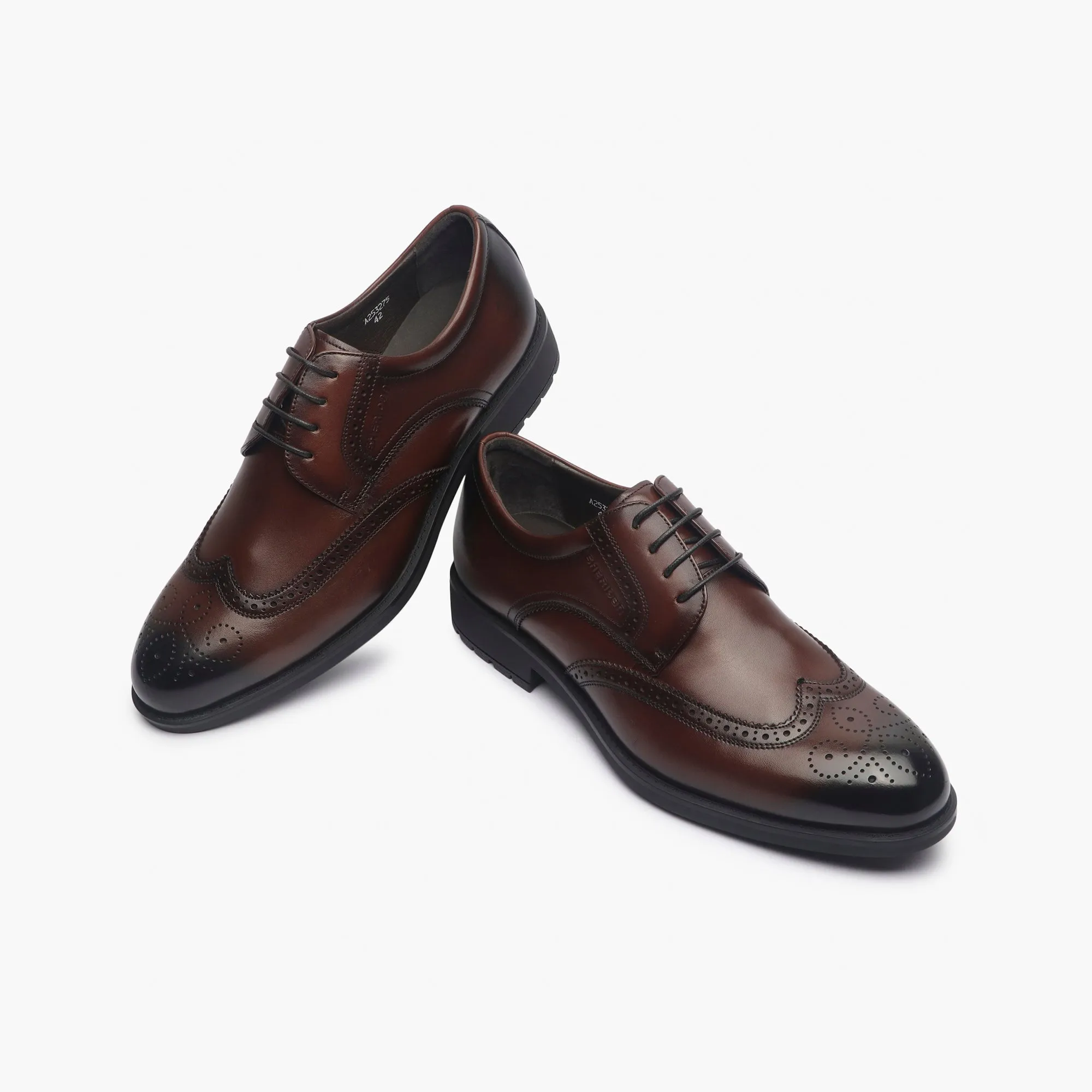 Sheridan Brogues