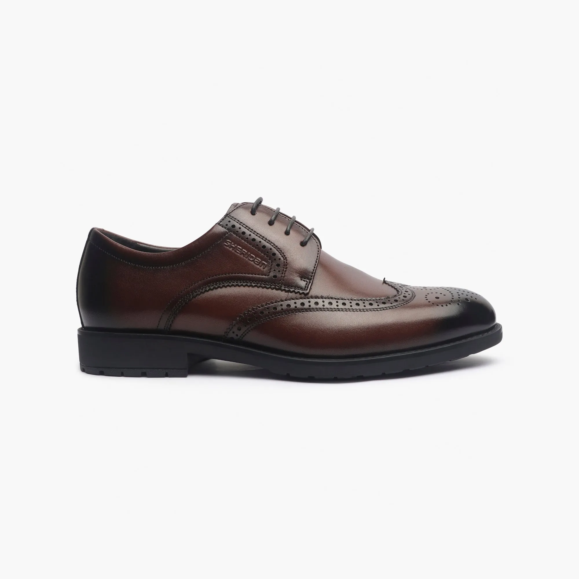 Sheridan Brogues