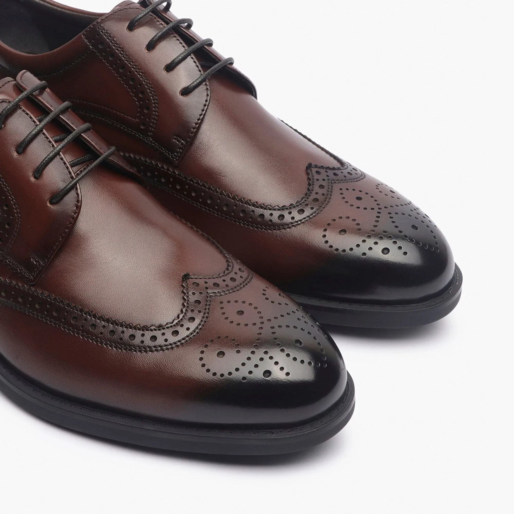 Sheridan Brogues